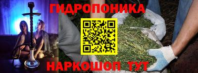 ПСИЛОЦИБИНОВЫЕ ГРИБЫ Можга