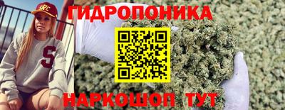 ПСИЛОЦИБИНОВЫЕ ГРИБЫ Можга
