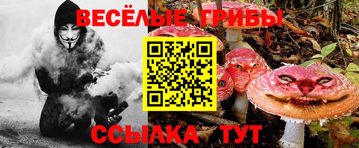 Тавда  Галлюциногенные грибы мухоморы  Вход с VPN 