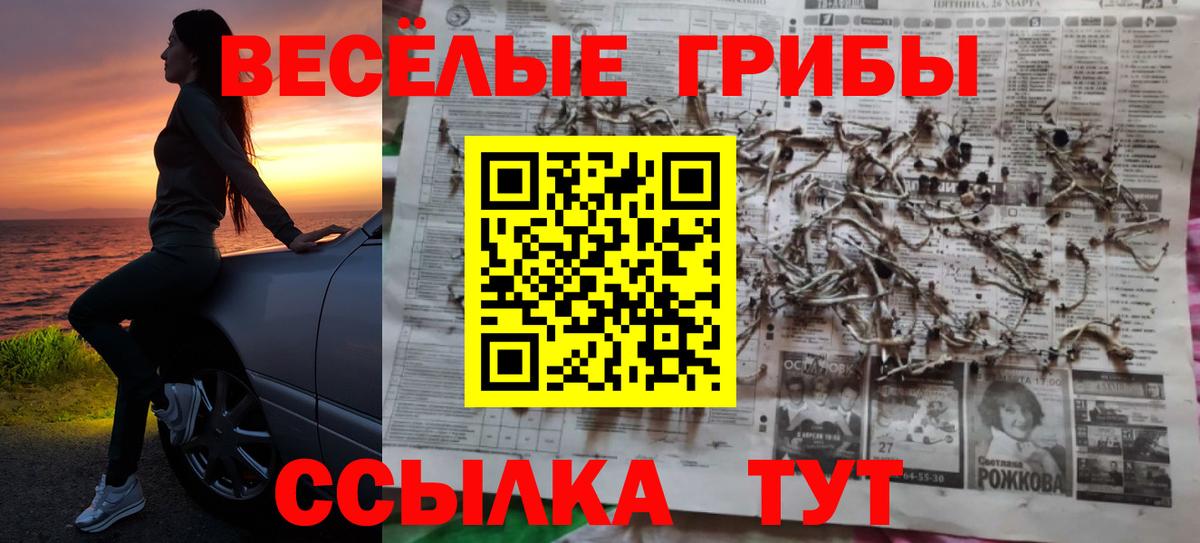 Псилоцибиновые грибы прущие грибы Тавда